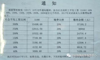 养老保险办理流程，一站式指南