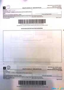 全面解析，第二代身份证的办理流程与注意事项