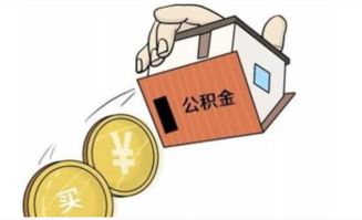保定住房公积金查询指南，如何轻松掌握您的公积金账户动态