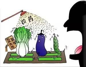 沈阳毒豆芽事件，食品安全的警钟与反思