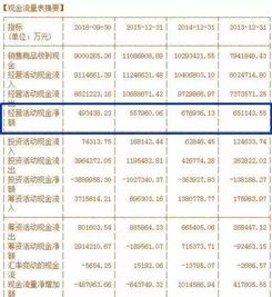 深入理解上市公司财务报表分析，掌握投资的金钥匙