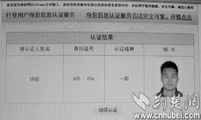 身份证查询照片，隐私保护与技术便利的平衡