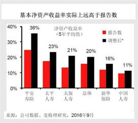 深入了解净资产收益率，计算公式与实际应用