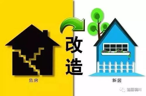 探索板芙镇，房屋出租市场概览与实用指南