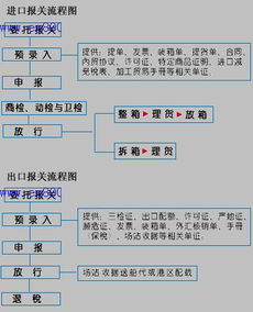 揭秘报关报检流程，国际贸易的桥梁