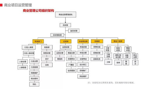 有限公司，企业组织形式的基石