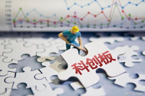 劳动者权益，保障与挑战—现代社会中的平衡艺术