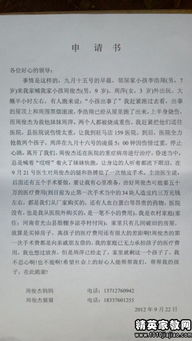 如何撰写一份完美的申请书，格式与技巧全解析