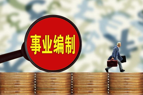 事业单位工资待遇，深入了解与实用建议