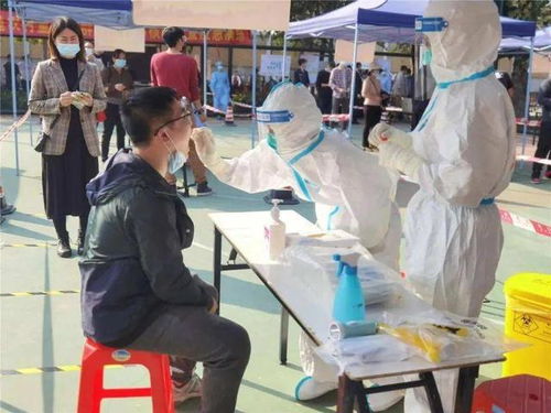 内蒙古疫情新动态，了解新增本土病例对日常生活的影响及应对策略