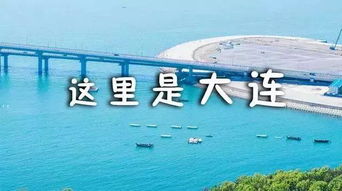 大连市疫情，挑战与应对，城市如何在逆境中前行