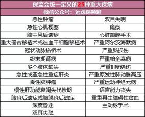 一文读懂，交通违章代码查询指南