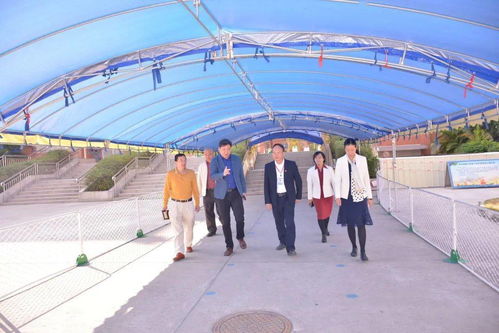 北京疫情最新动态，深入了解与防护指南