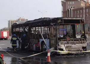 公交车纵火案，社会安全的警钟与心理危机的反思