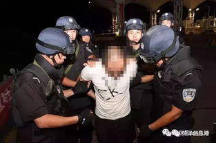 正义的呼唤，民警撞死女童逃逸事件的法律与道德审视