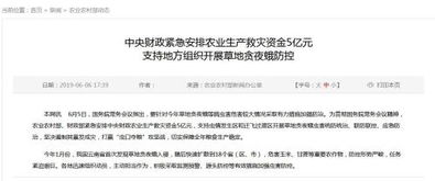 假币的隐秘威胁，了解其危害并采取防范措施