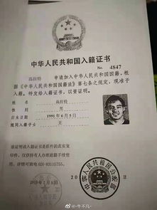 法定代表人资格证明书，企业合规与法律责任的桥梁
