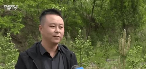 揭秘毒品世界，毒品的种类与危害