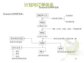 深度解析，政府采购招标代理的角色、流程与未来趋势