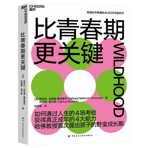 中学生打群架，理解背后的心理与社会因素及预防策略