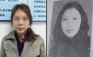 劳荣枝案，揭开犯罪的面纱，理解法律的重量