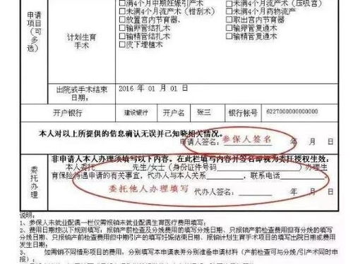 生育保险报销时间，详细指南与实用建议