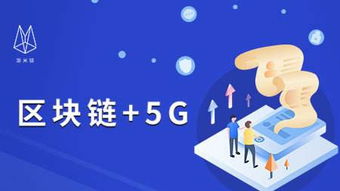 商业软件联盟，推动技术创新与合规经营的行业先锋