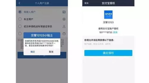 济宁市车辆违章查询，您的智能交通助手