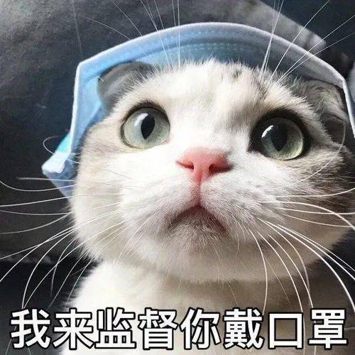 疫情新动态，安徽新增本土确诊病例，全国防控不松懈