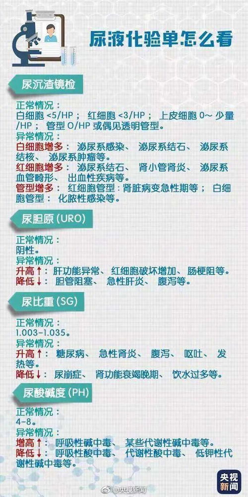 深入了解验资报告费用，成本、影响因素与实用建议