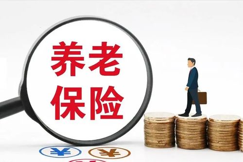 深入了解养老保险公司缴纳比例，保障退休生活的基石
