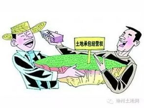 农村两权抵押贷款，激活土地资源，助力乡村振兴