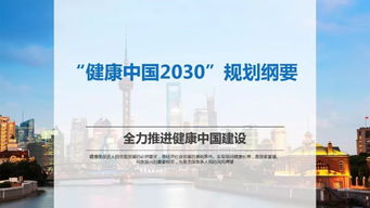 北京担保公司，金融桥梁与风险管理专家