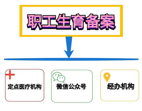 掌握车险理赔技巧，让保险为您保驾护航