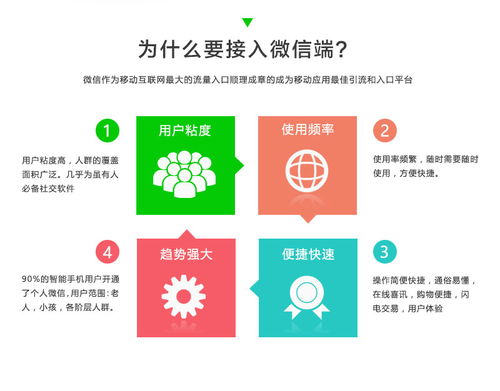 社保公众平台服务，便捷与效率的桥梁