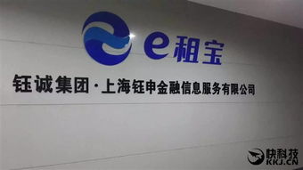 深入了解e租宝非法集资事件，风险警示与防范策略