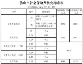 广东省社保个人查询，全面指南与实用技巧