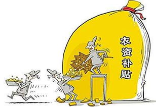 农业补贴政策，农民的金种子，播种希望，收获未来