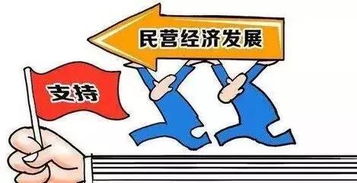 审计监督，维护经济秩序的关键力量