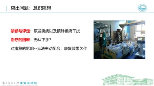 探索茄子河租房市场，机遇、挑战与实用指南