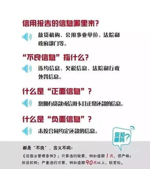 牡丹江交通违章查询，便捷与安全的双重保障