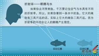 揭开亲子鉴定的神秘面纱，原理、过程与应用