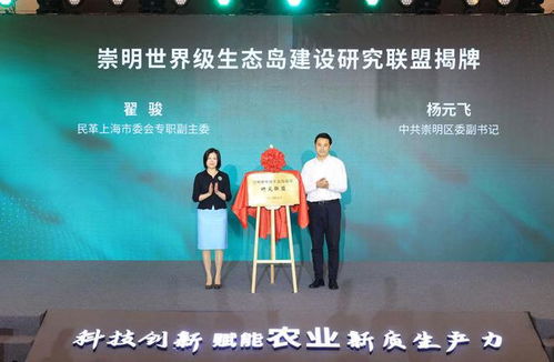 地方债试点，开启财政新篇章，助力区域经济发展