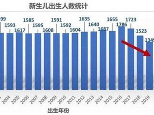 养老双轨制，保障未来，双轨并行