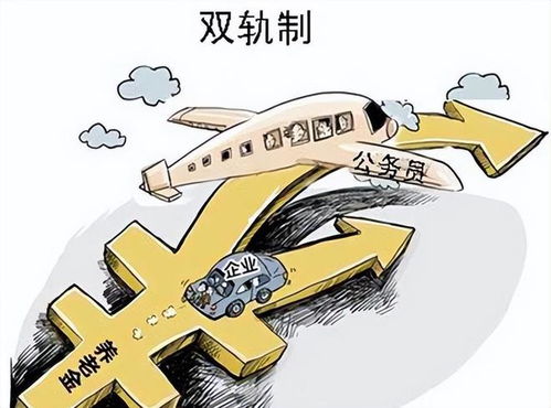 养老双轨制，保障未来，双轨并行