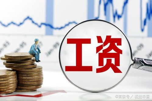 公务员之路，深入了解成为公务员的要求