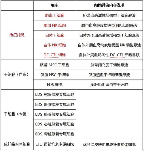 太平洋人寿保险，全面了解险种，为您的生活保驾护航