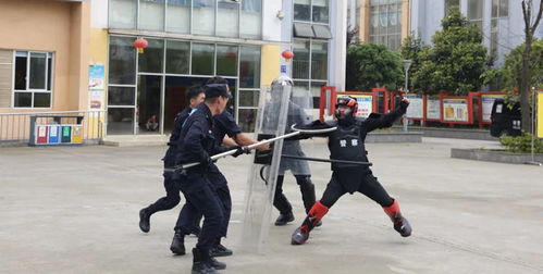 天台县公安局，守护平安，筑牢防线