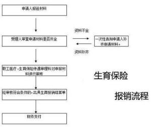 全面解析，医疗保险报销流程与技巧