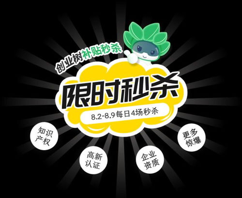 创业无息贷款，助力梦想起航的金融助力